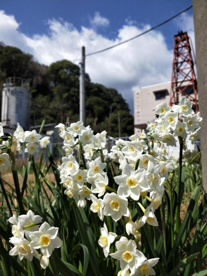 Izu Shirada Villa 伊豆白田家 Higashiizu Extérieur photo