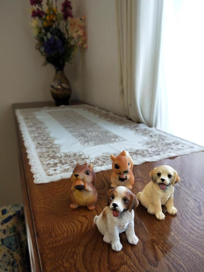 Izu Shirada Villa 伊豆白田家 Higashiizu Extérieur photo