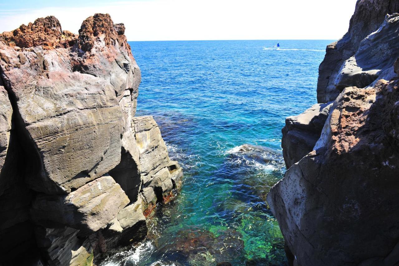Izu Shirada Villa 伊豆白田家 Higashiizu Extérieur photo